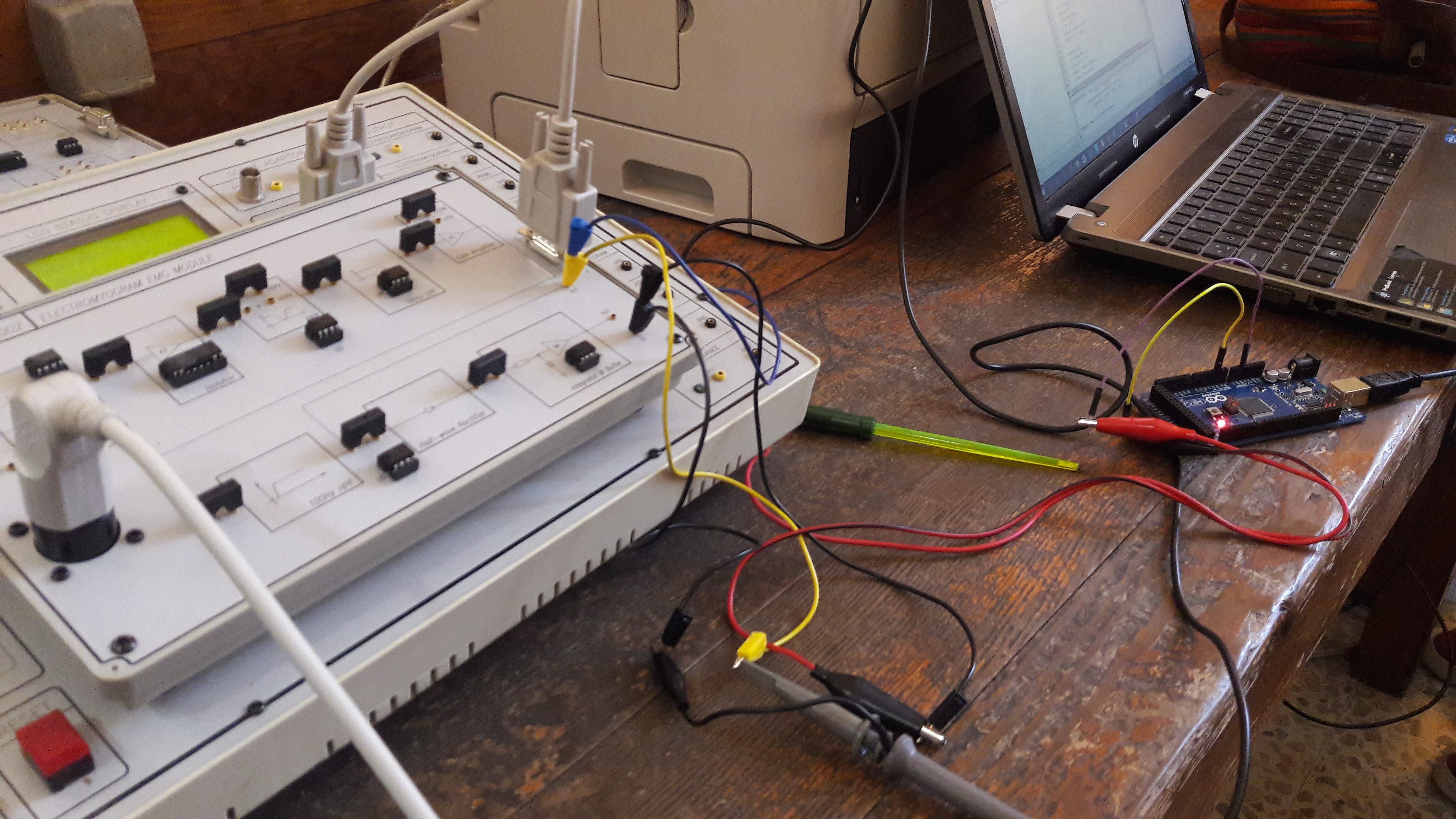 Biomedical Signal Processing and AI Training – Damascus University